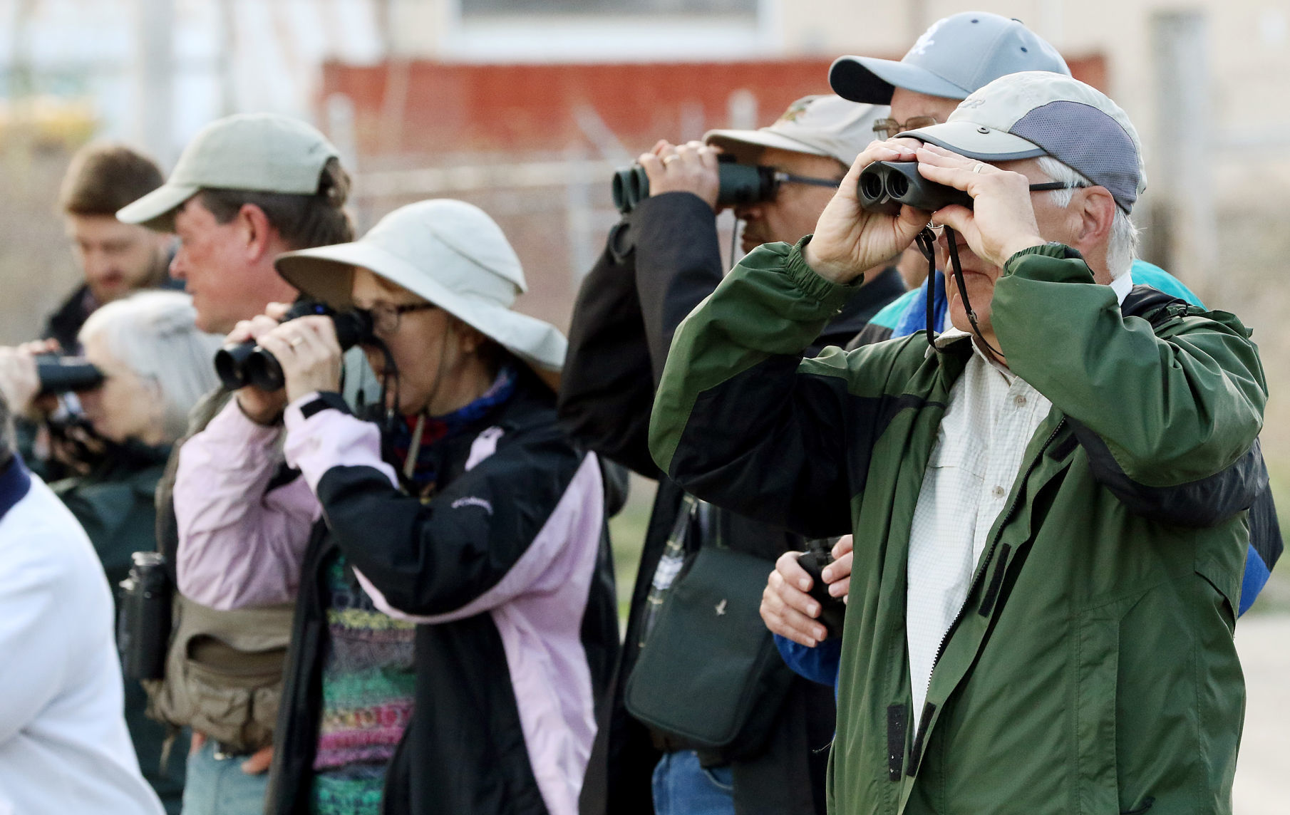 Beginner birding